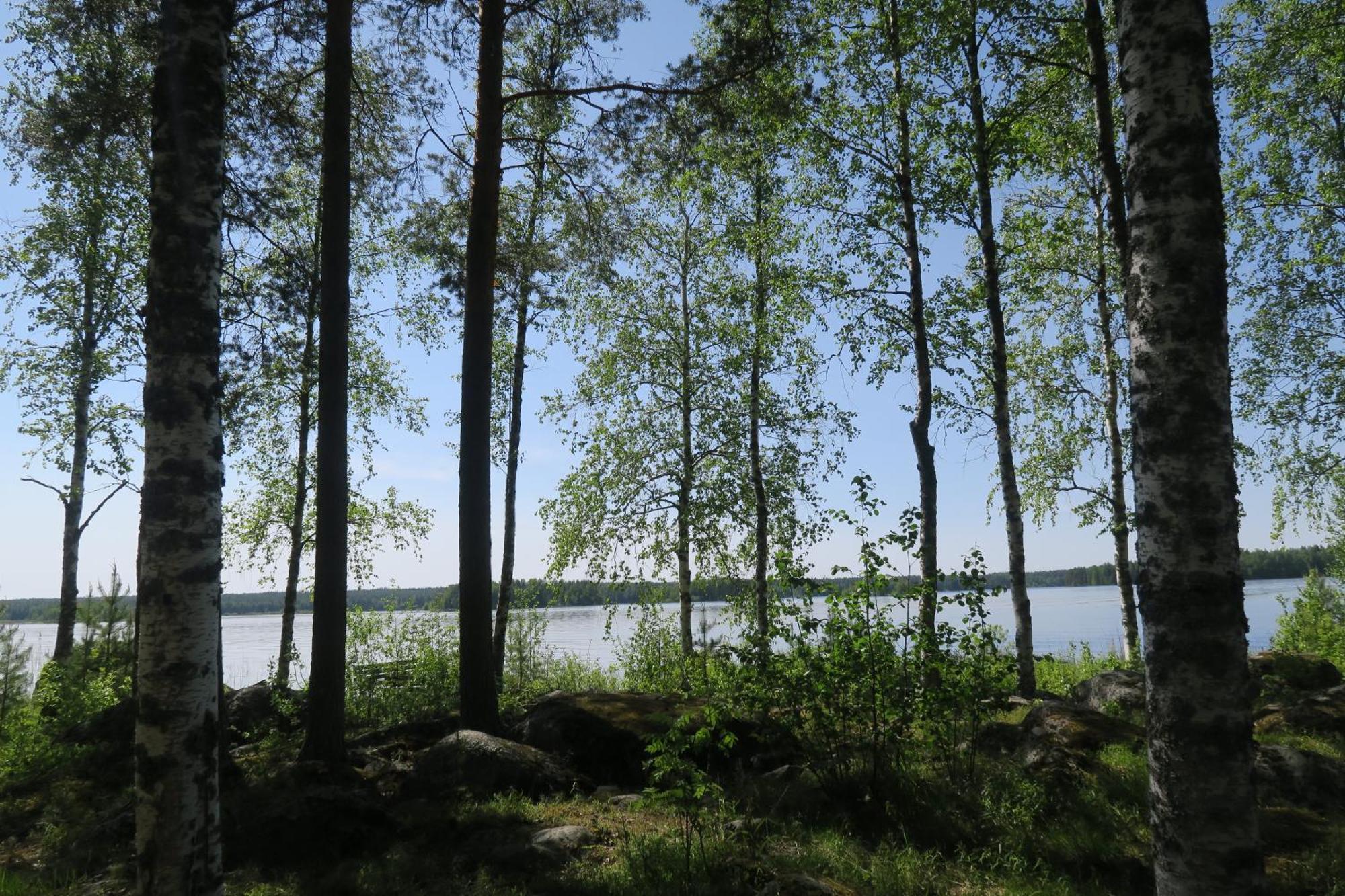 Hiidenniemi Marjoniemi Camping מראה חיצוני תמונה